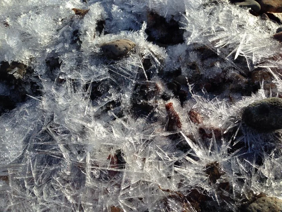 FISH ARE SAFE IN THE ICE AND SNOW IN NORTHERN MICHIGAN PONDS