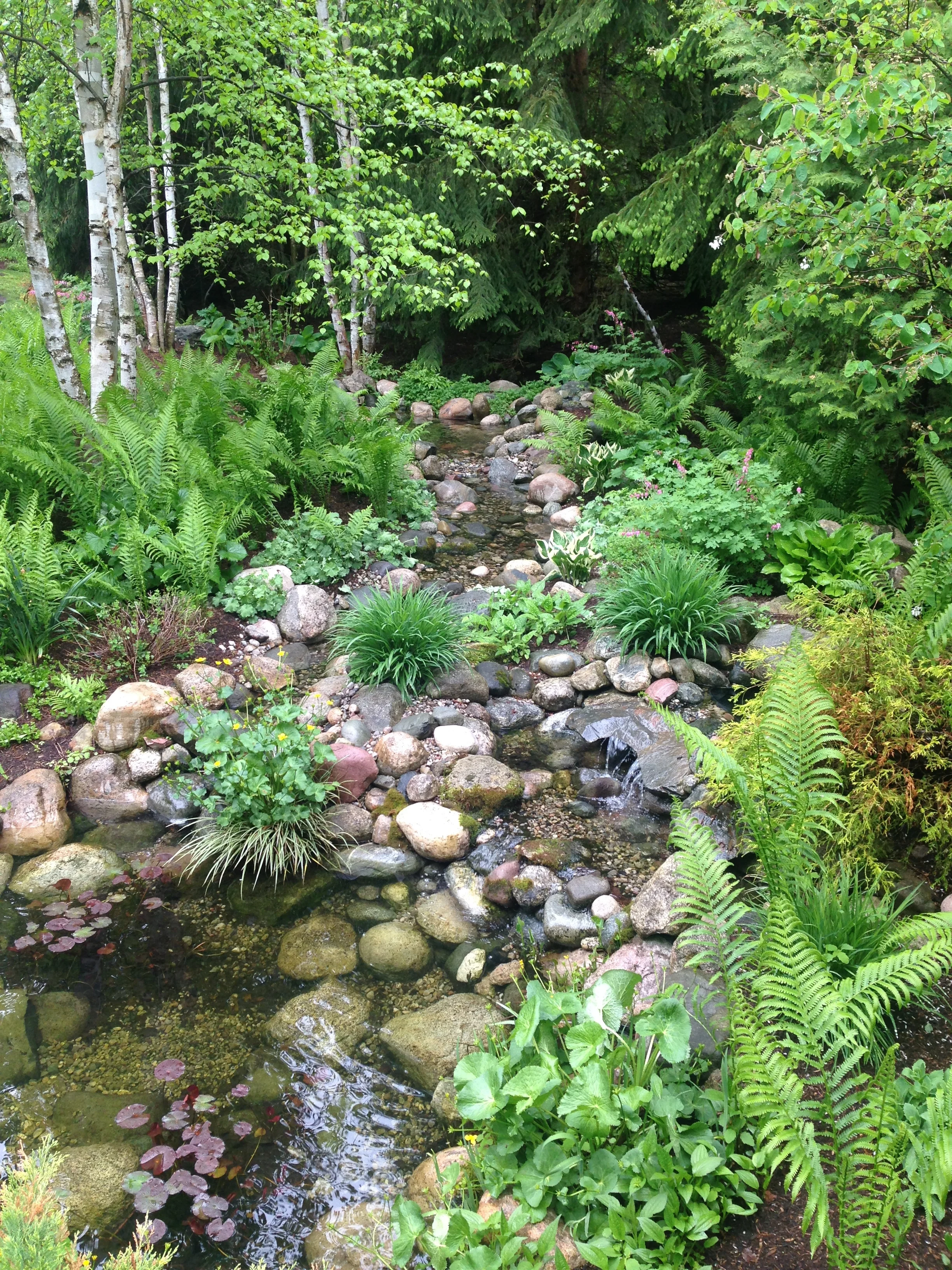 A meandering stream flowing into a pond all filtered by plants and fish. 