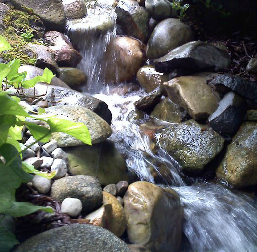 Your new home's water feature might need some TLC initially but soon you will fall in love with your new backyard pond, stream, waterfall, fountain or feature with the help of Waterpaw Ponds of Michigan. 