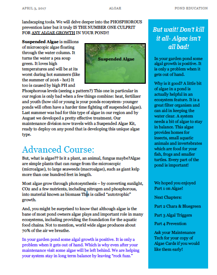 algae2.ed.jpg