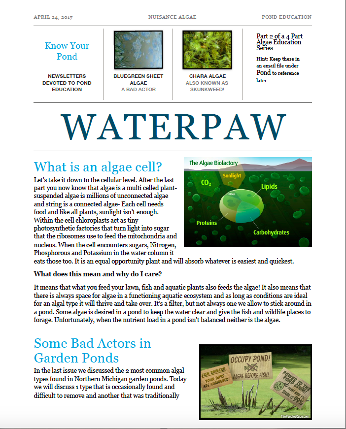 NuisanceAlgae.jpg