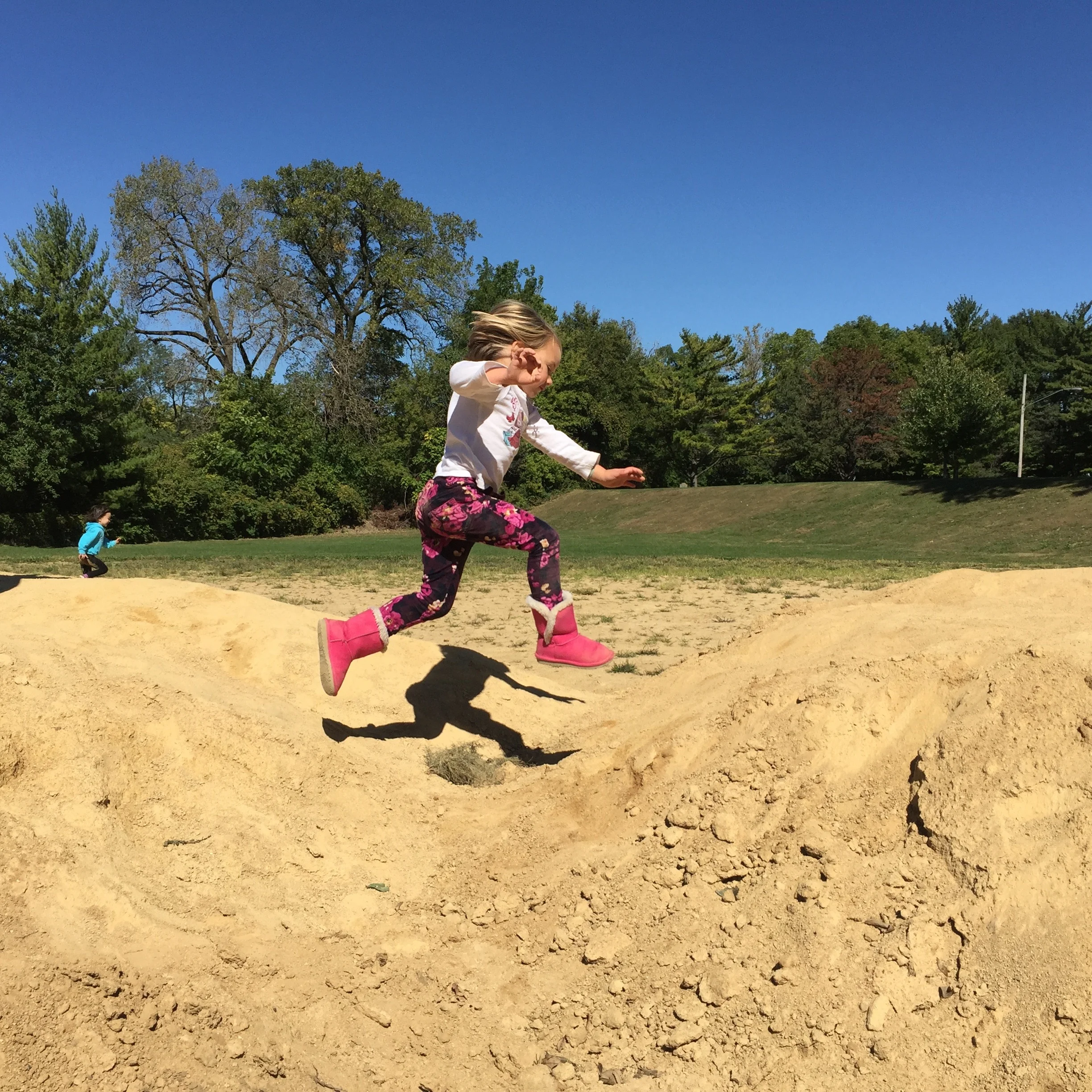 The Pieces of the Puzzle