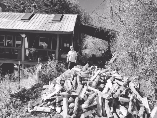 woodpile