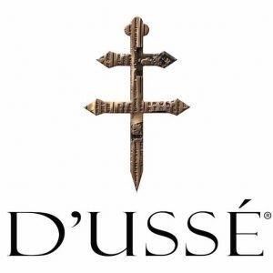 dusse_logo.jpg