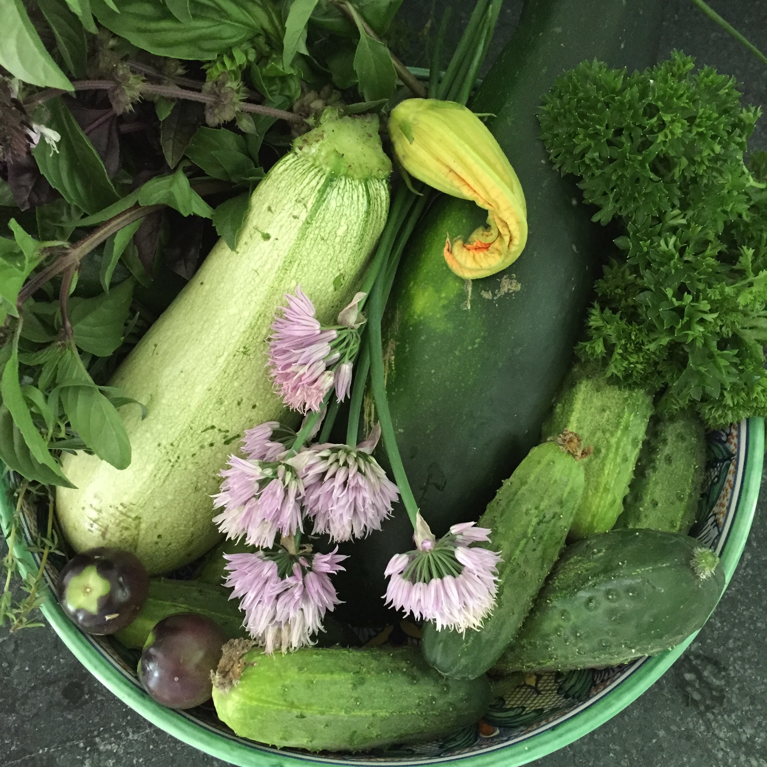 2016-06-25 13.18.09.jpg