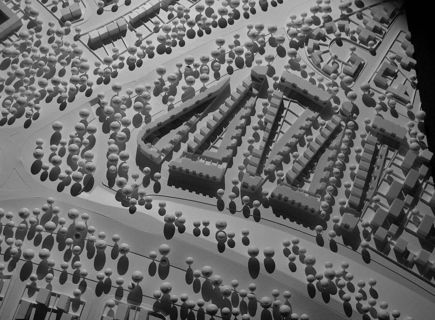 CIMG4219bw.jpg