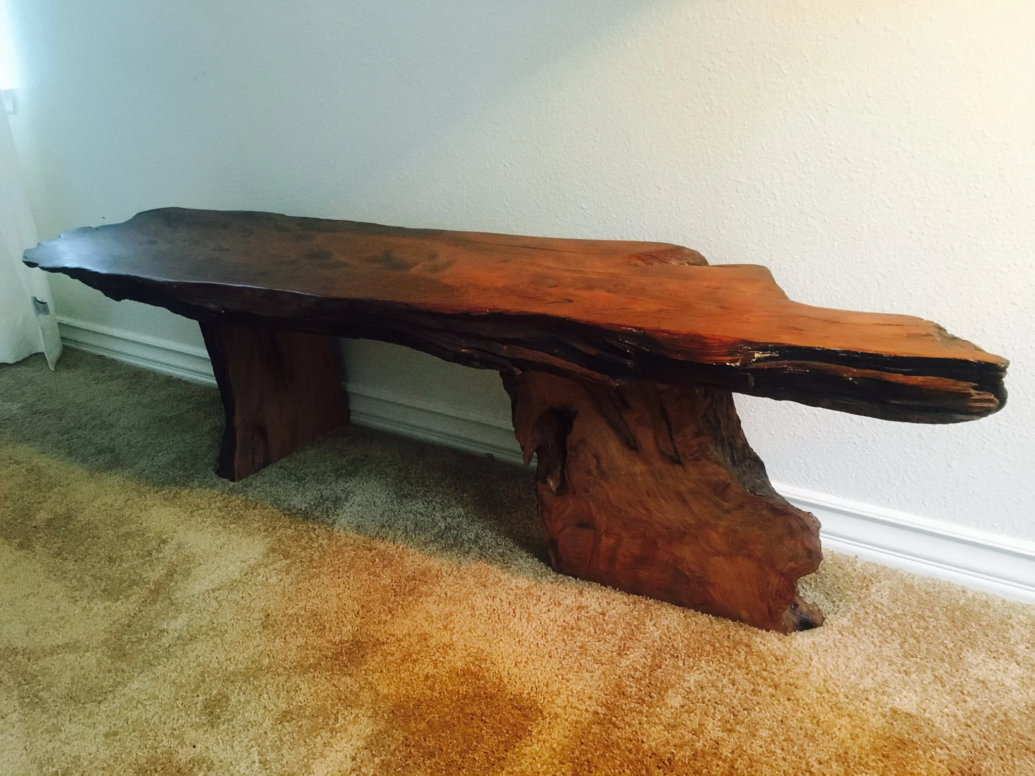 15235615_1365261186819642_5697260066563765838_o 2.jpg