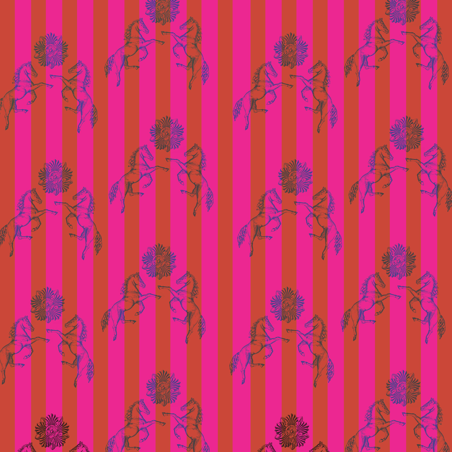 FREDERICO-raspberry-and-red.jpg