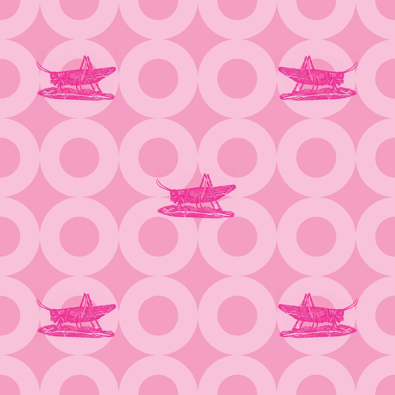 MACCHIO-raspberry.jpg