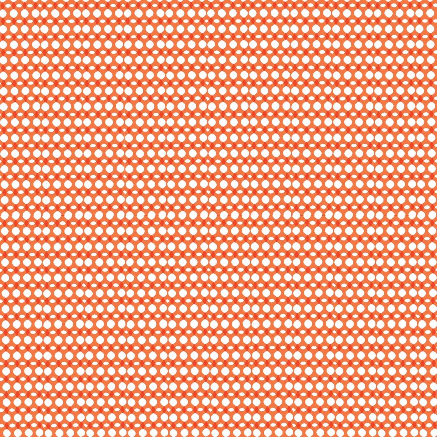 PENELOPE-clementine.jpg