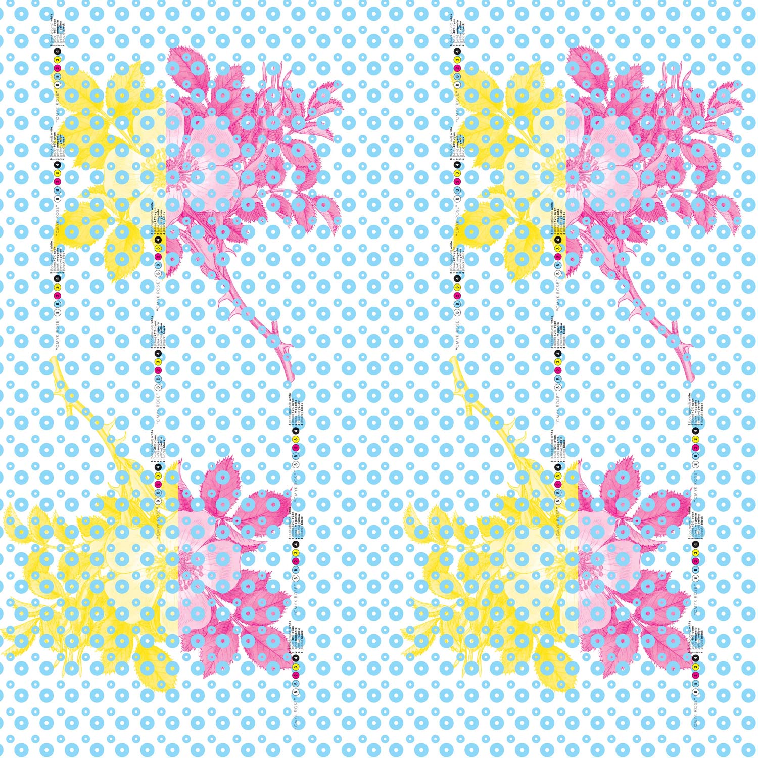 RILEY-cyan-&-raspberry.jpg