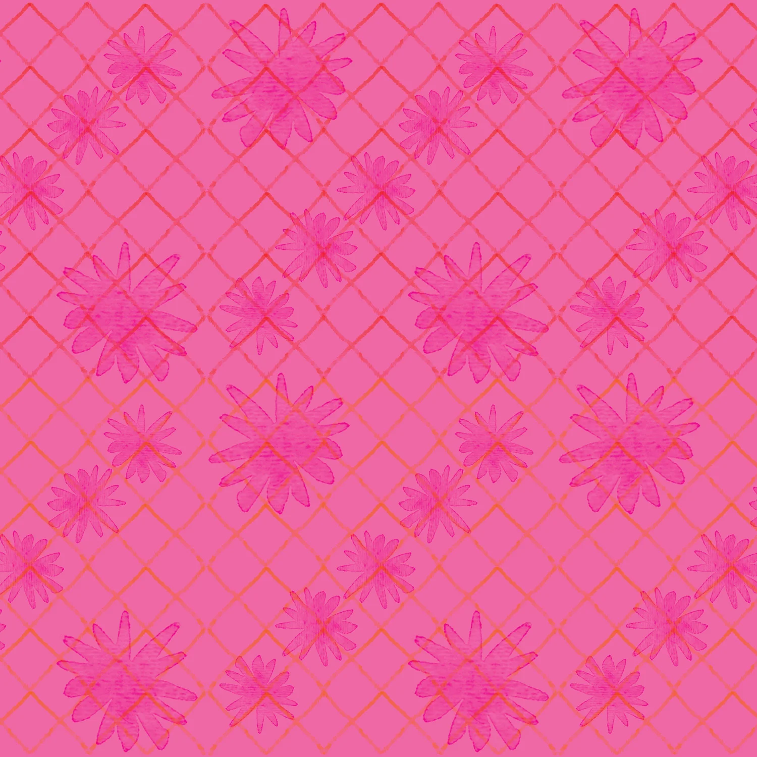 LITTLE-NORA-raspberry.jpg