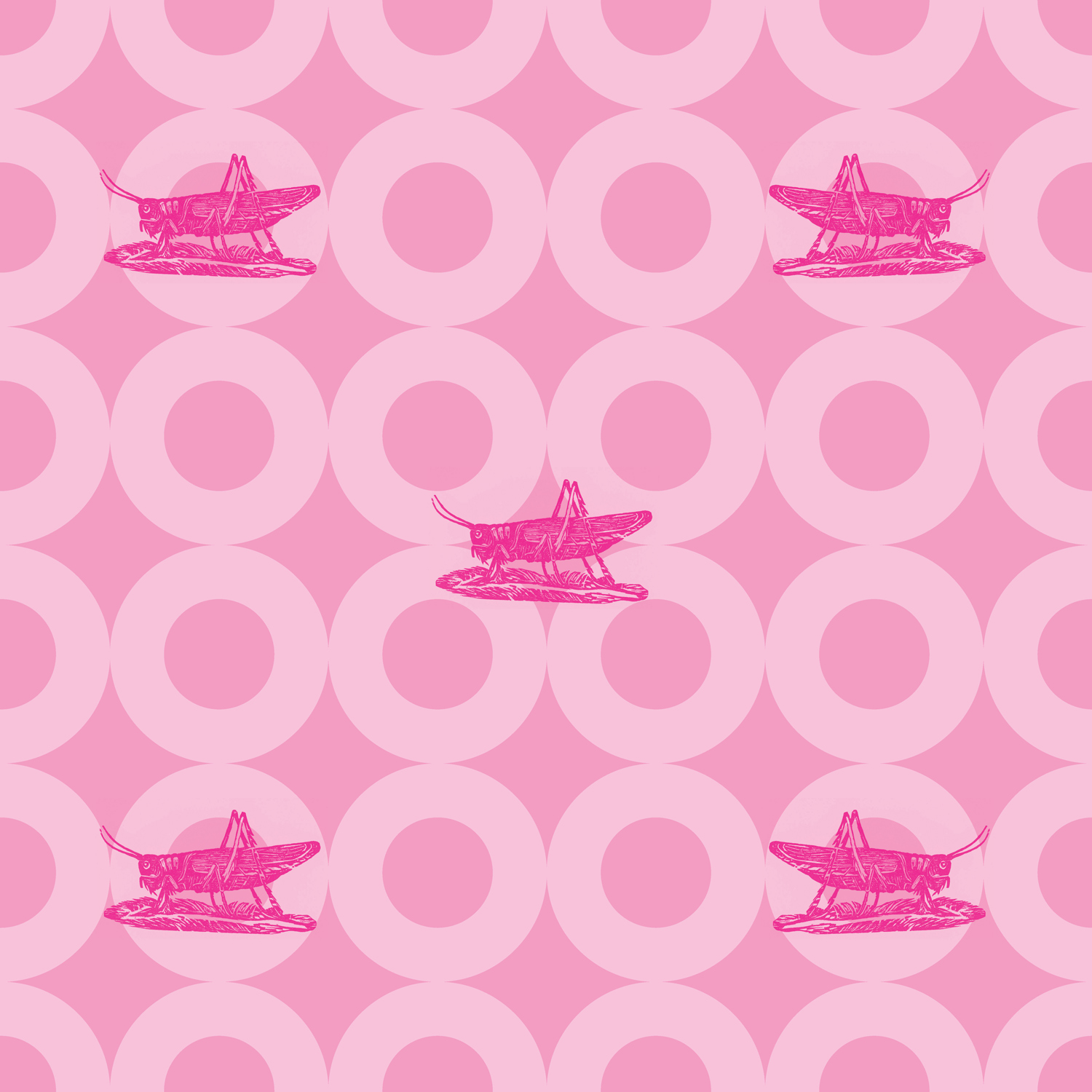 MACCHIO-raspberry.jpg