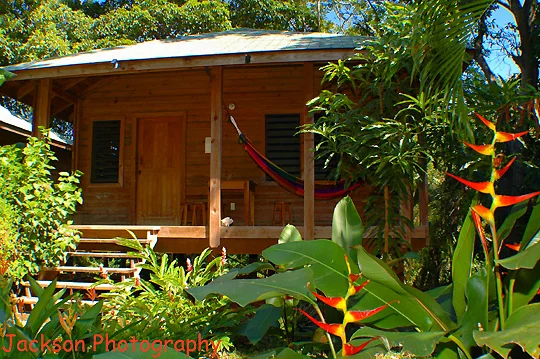 2 Bedroom cabin, hostel style, beachfront, West End, Roatan