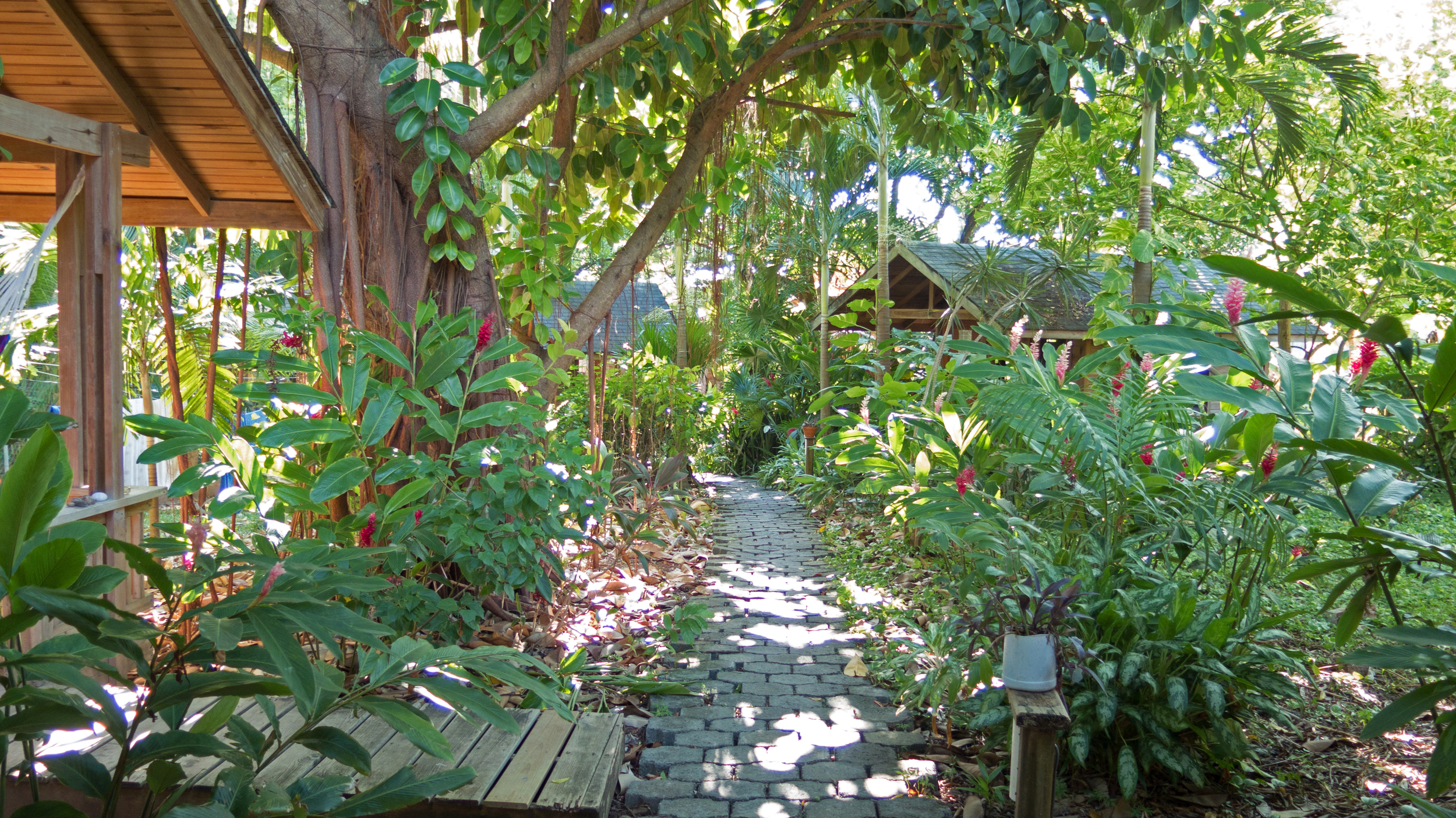 Garden path, Hotel Chillies, West End, Roatan