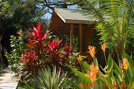 Best budget hotel, West End, Roatan. Hostel, backpackers, garden cabins ...