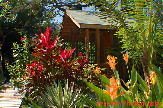 DSC_7005 copy.jpg