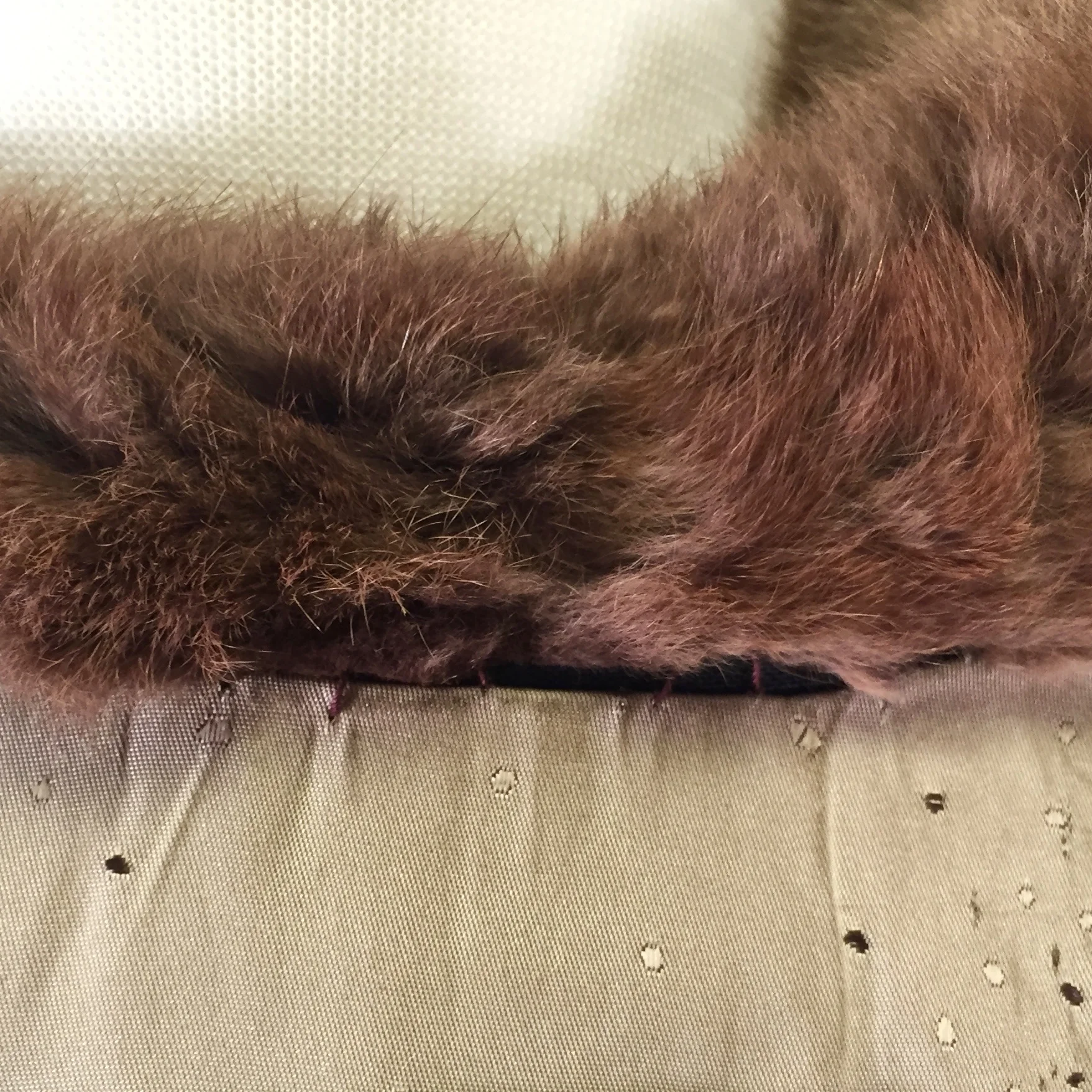 The Mildred Raccoon Cape