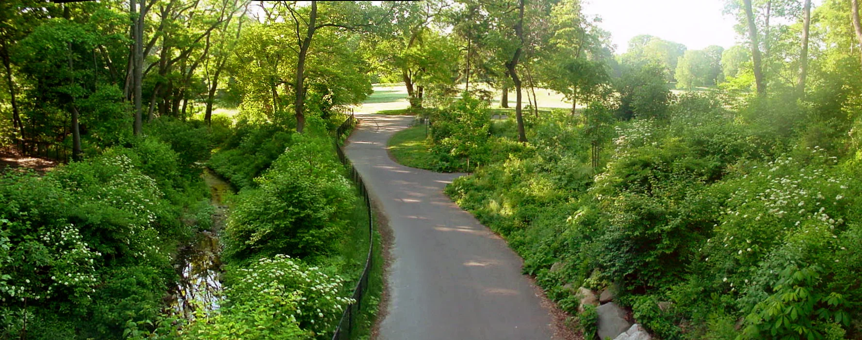 ProspectPark_Brooklyn_Nethermead.jpg