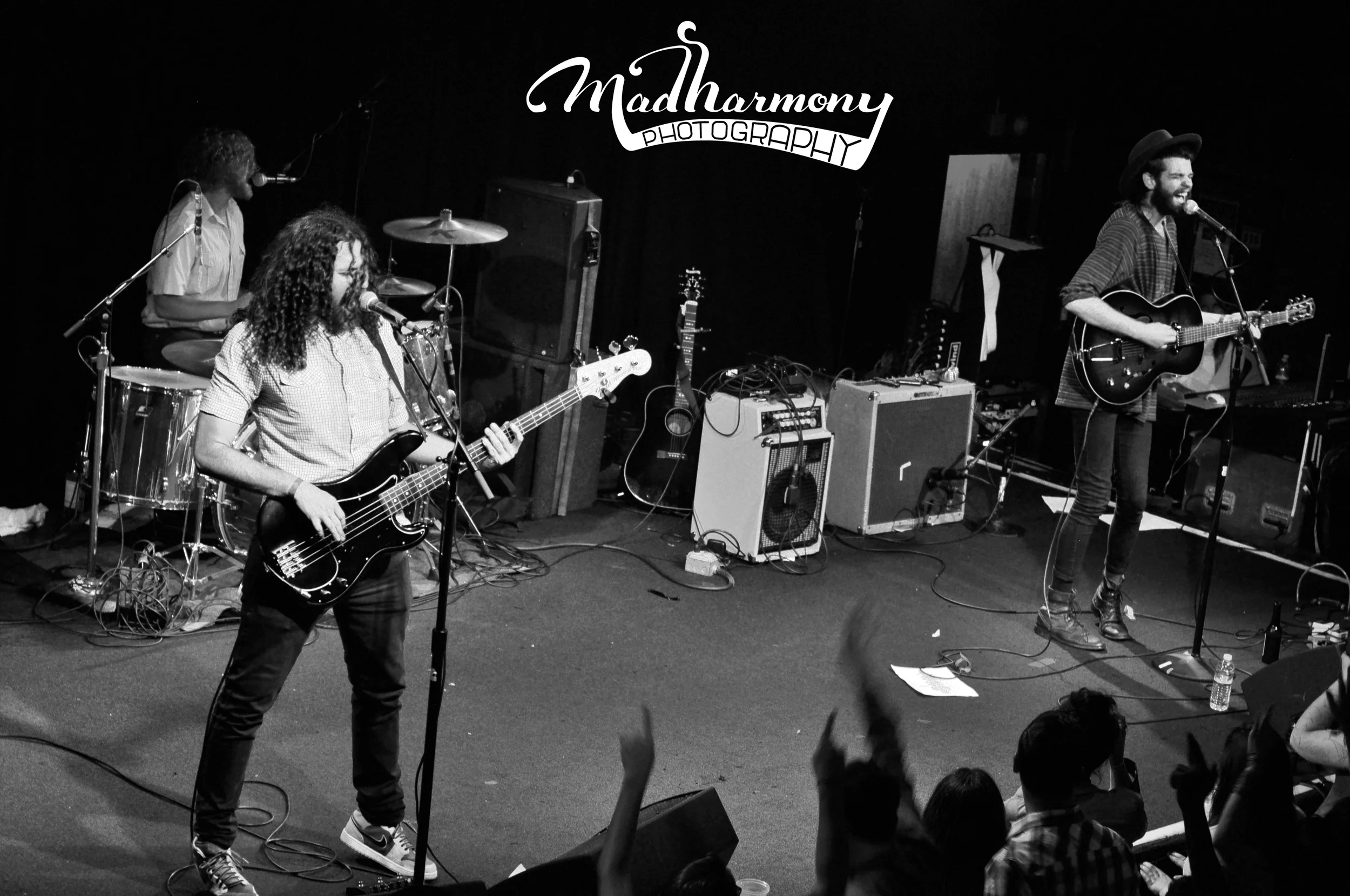 Rin Tin Tiger / 07.10.15/ The Independent