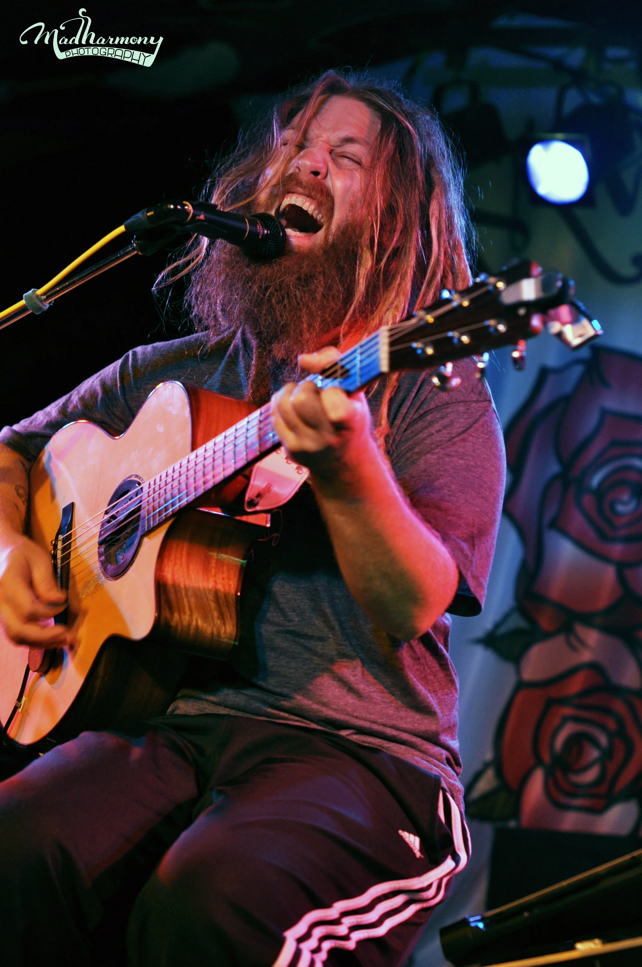 Mike Love / 09.22.15 / Moe's Alley