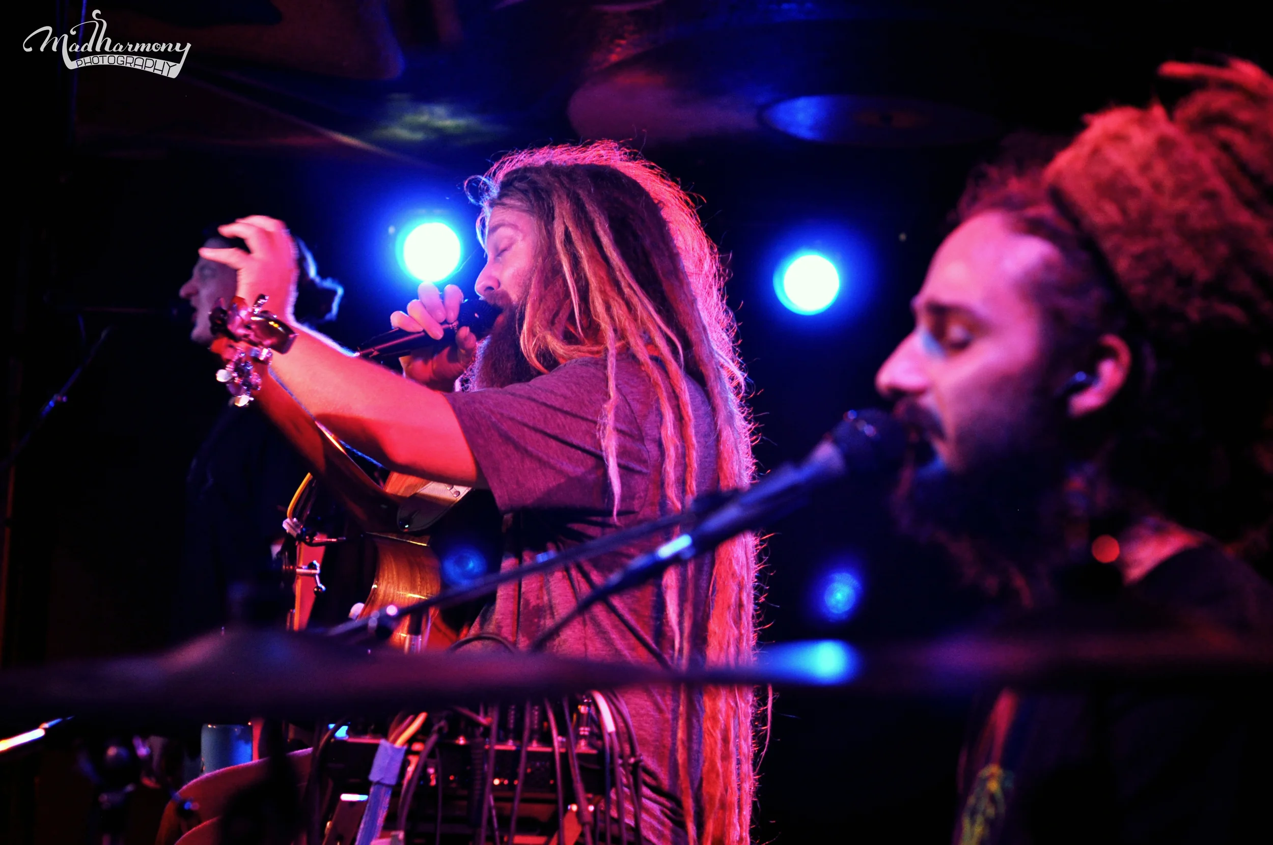 Mike Love / 09.22.15 / Moe's Alley