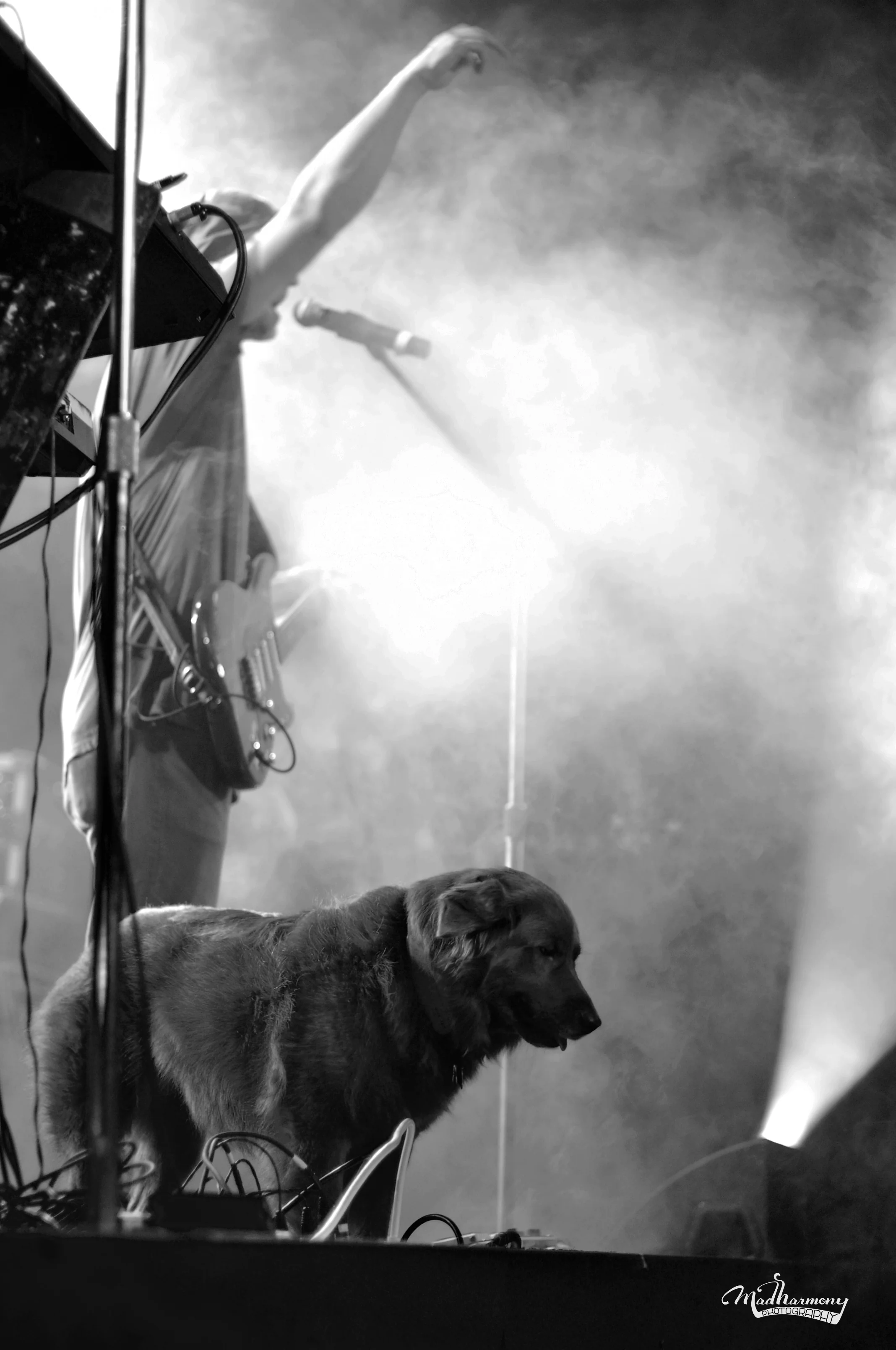 Stick Figure / 01.15.16 / The Catalyst Club