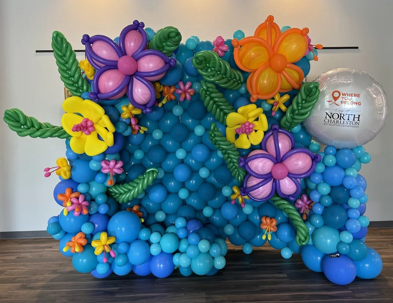 Balloon Back Drop.jpg