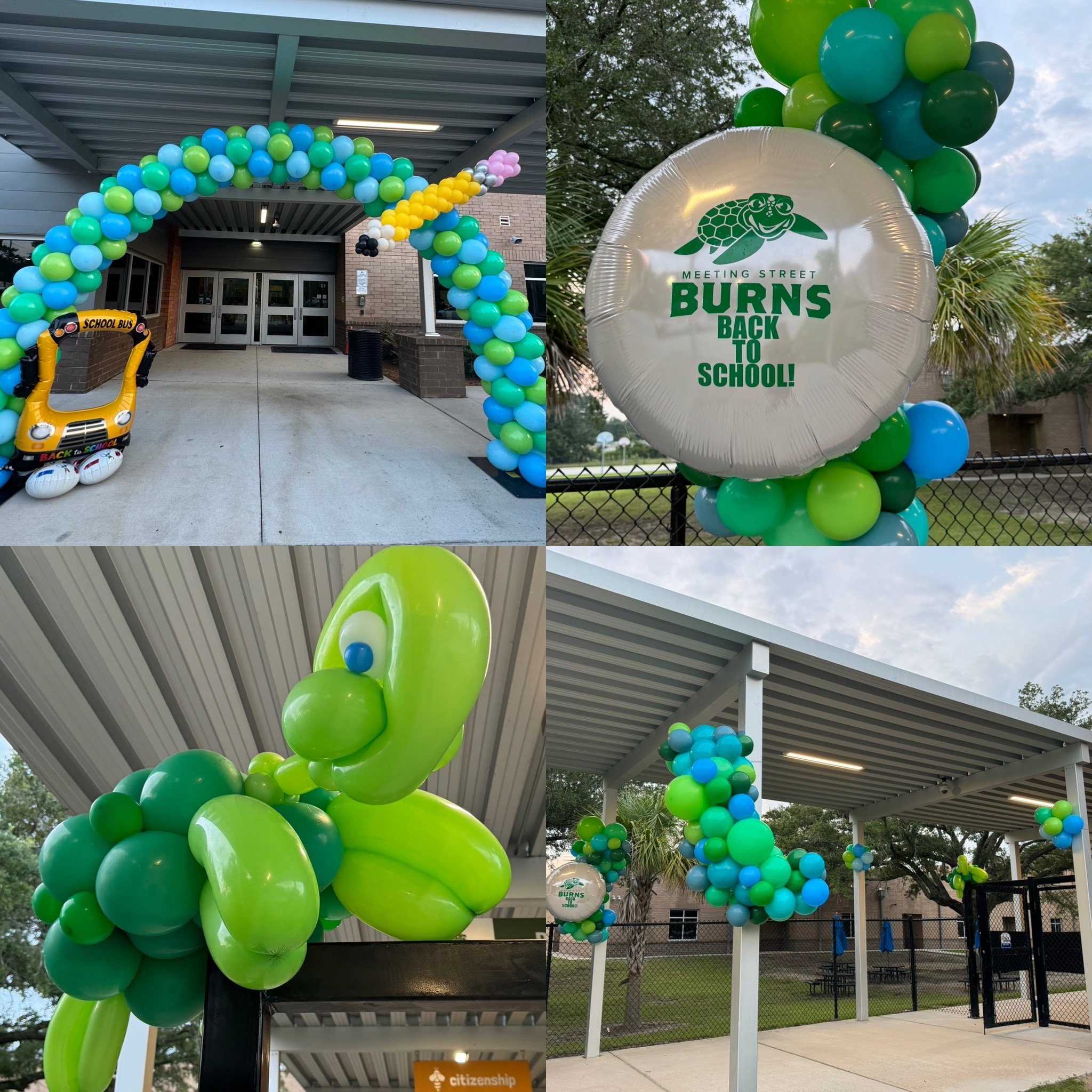 school custom, turtle.jpeg