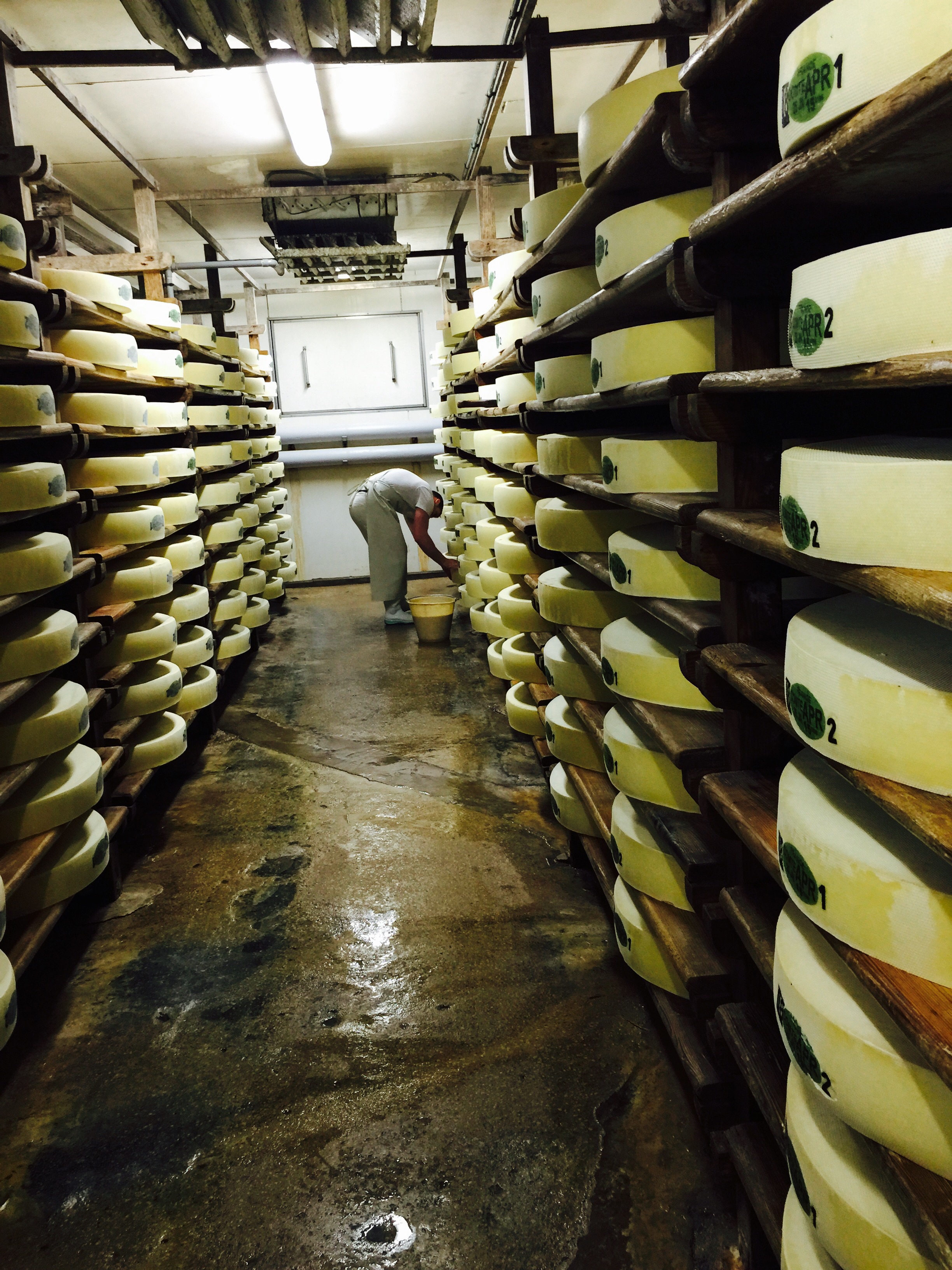  Affineur performing the daily flipping and cleaning of the 80 pound wheels of Comté. 