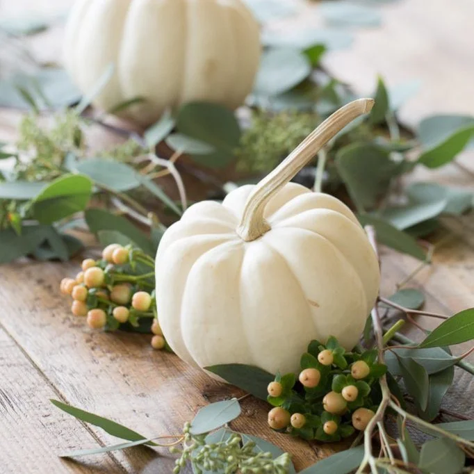 Pumpkin 2.jpg