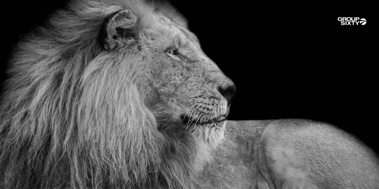 Savage Leader Newsletter Header Image.jpeg