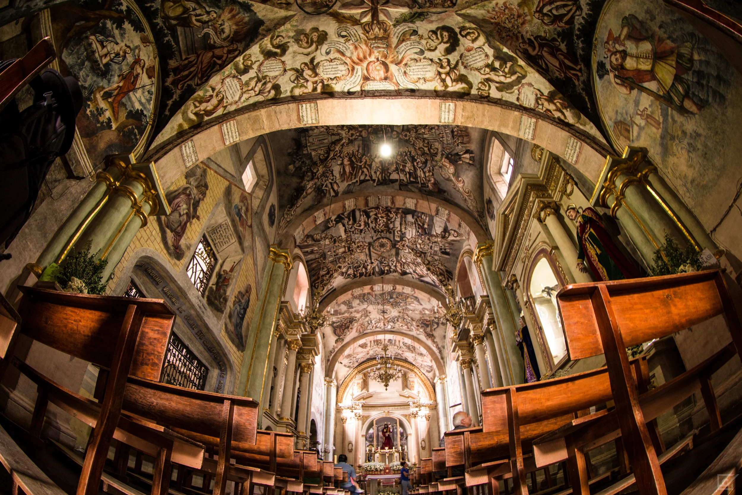 Frescos resguardados