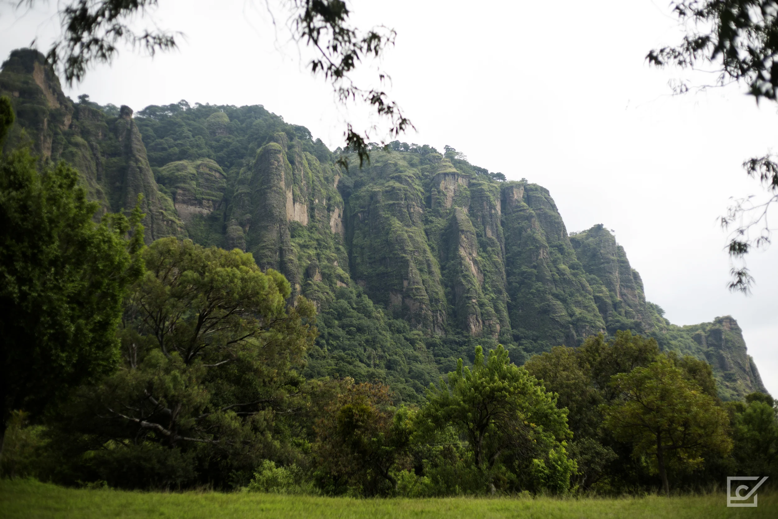 Gigantes