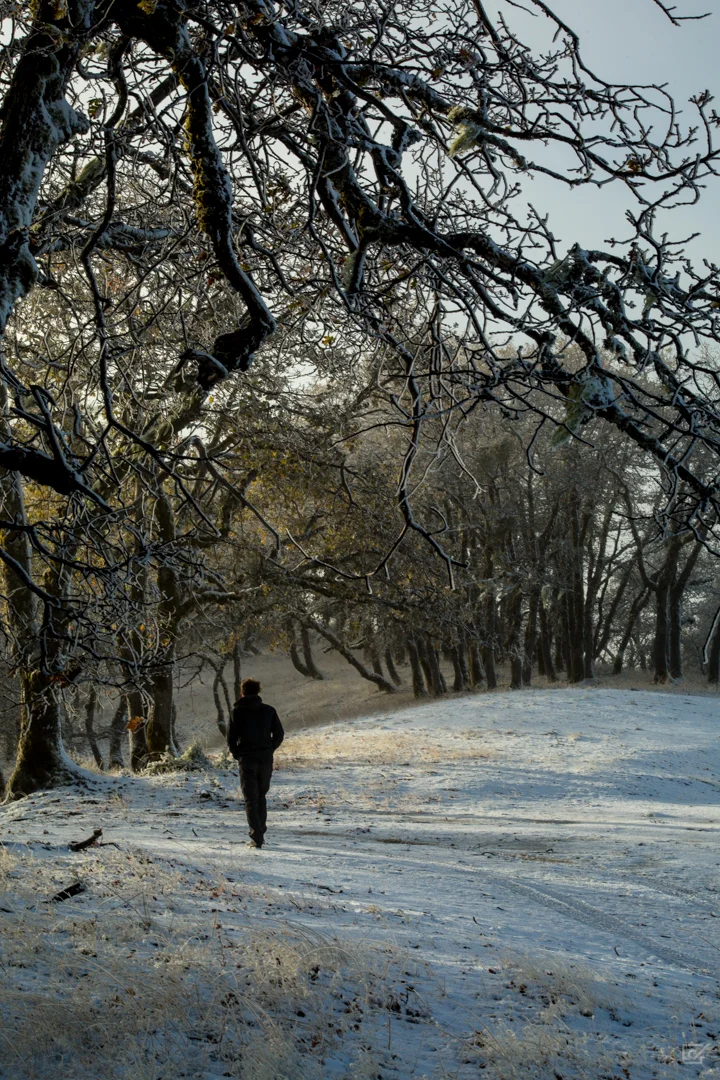 Caminata Blanca / White Walk