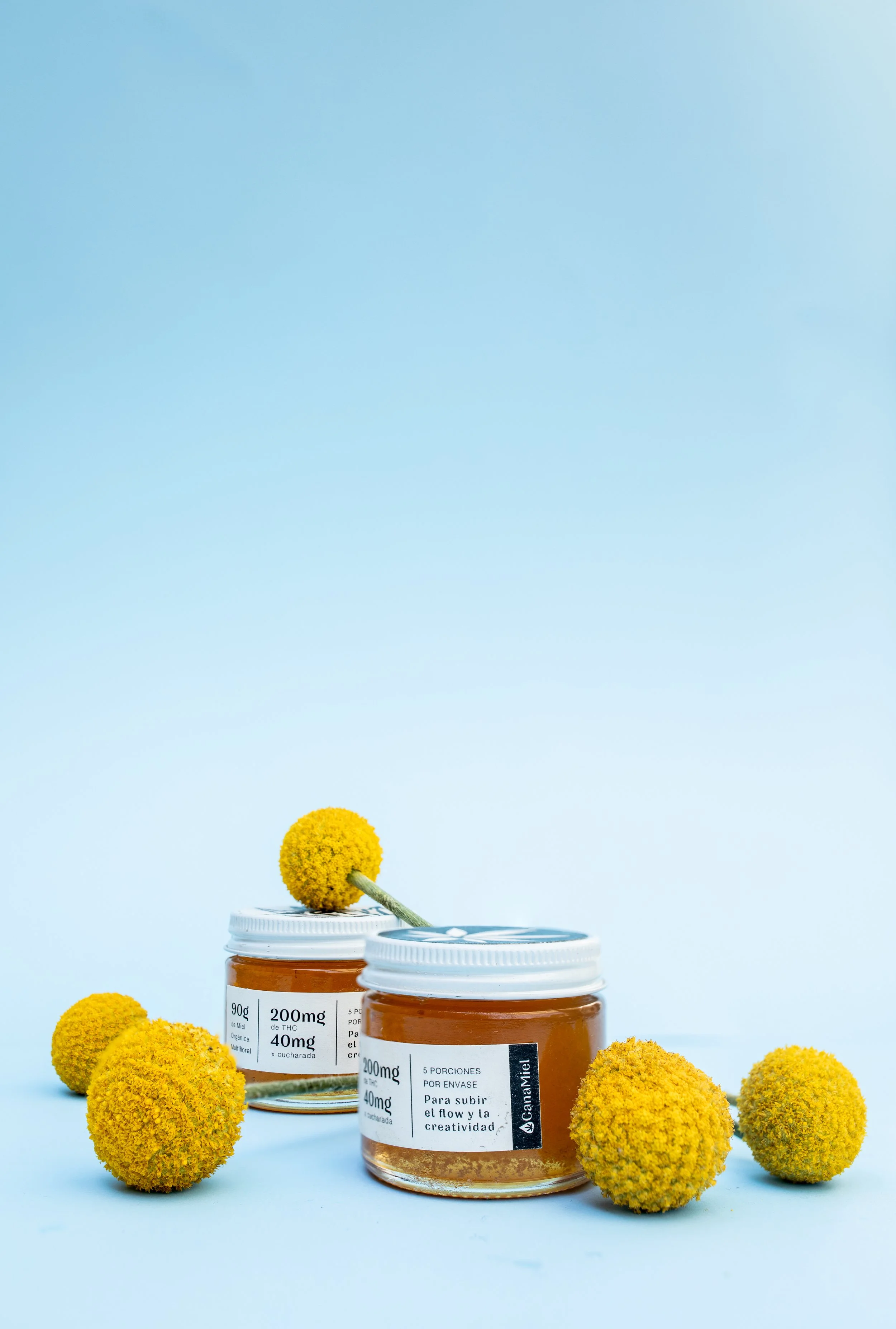 CanaMiel 2