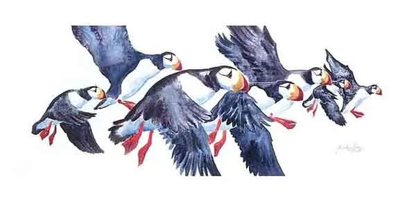 gg 96-4 puffin flight.jpg