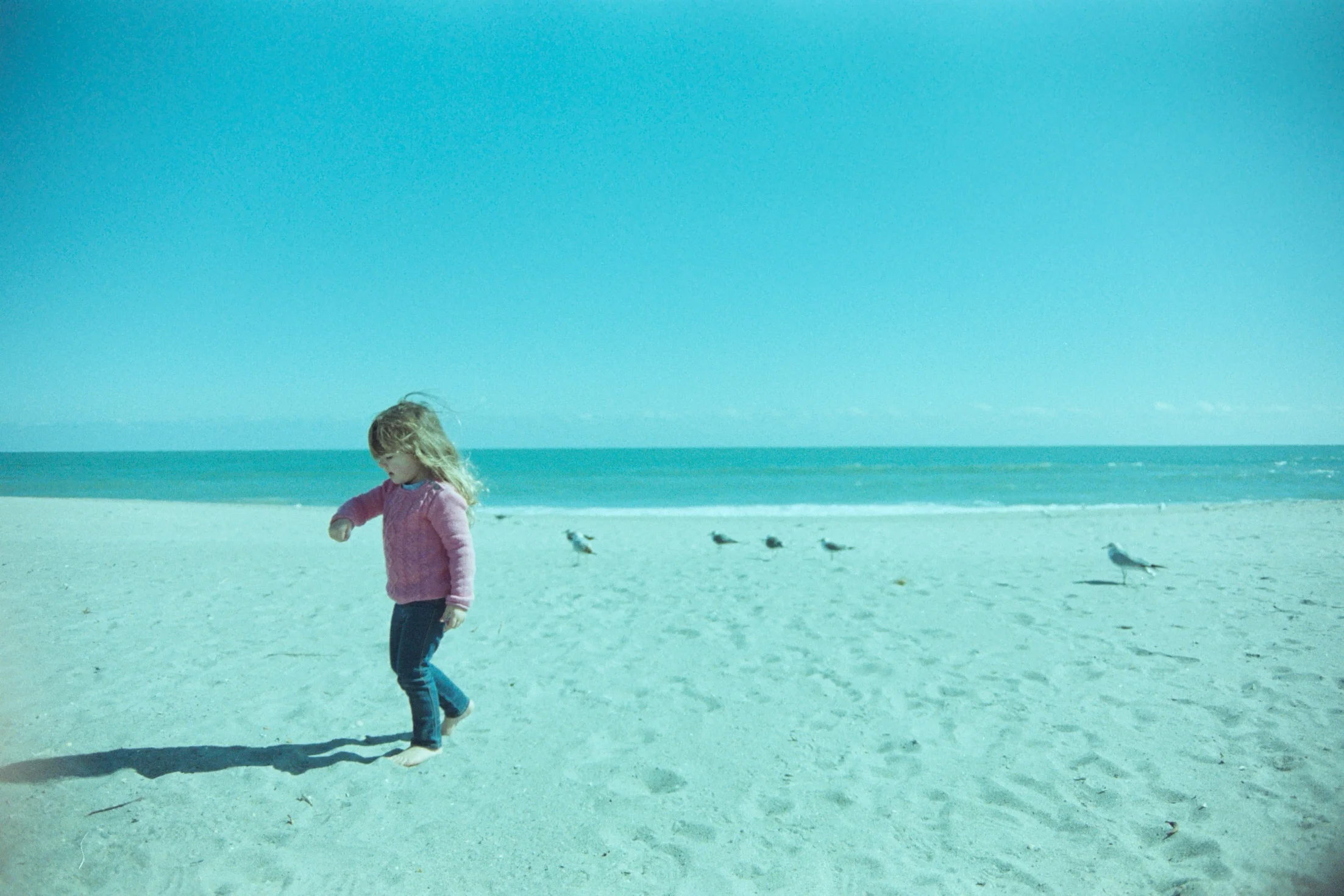 Norah captured with a Pentax Me Super + Vivitar 35-70 AF "the borg lens" + fuji 800 superia (expired may 2006) combination: shot in March 2015 and purposely "baked" in my cars passenger seat until being developed at the beginning of August 2015. thi…