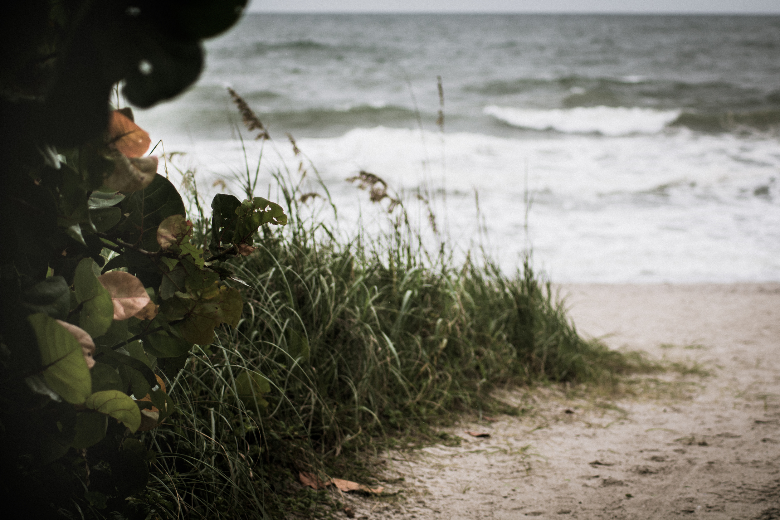 Eau Gallie Photowalk NS - joshua conti (13 of 18).jpg