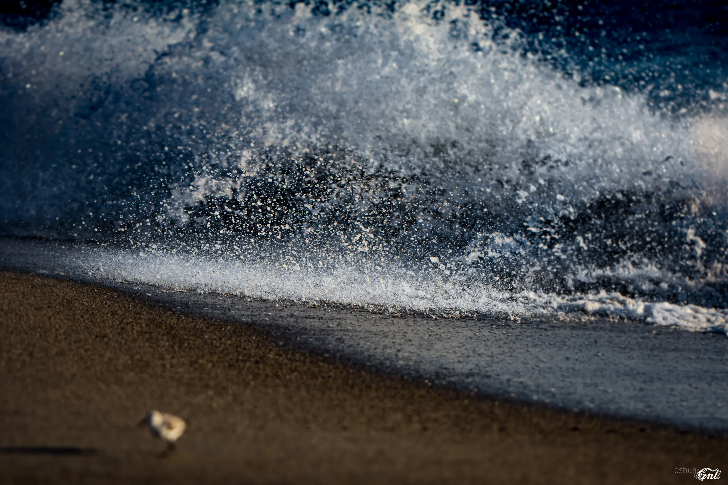 rip and pull - copyright 2016 joshua conti-1.jpg