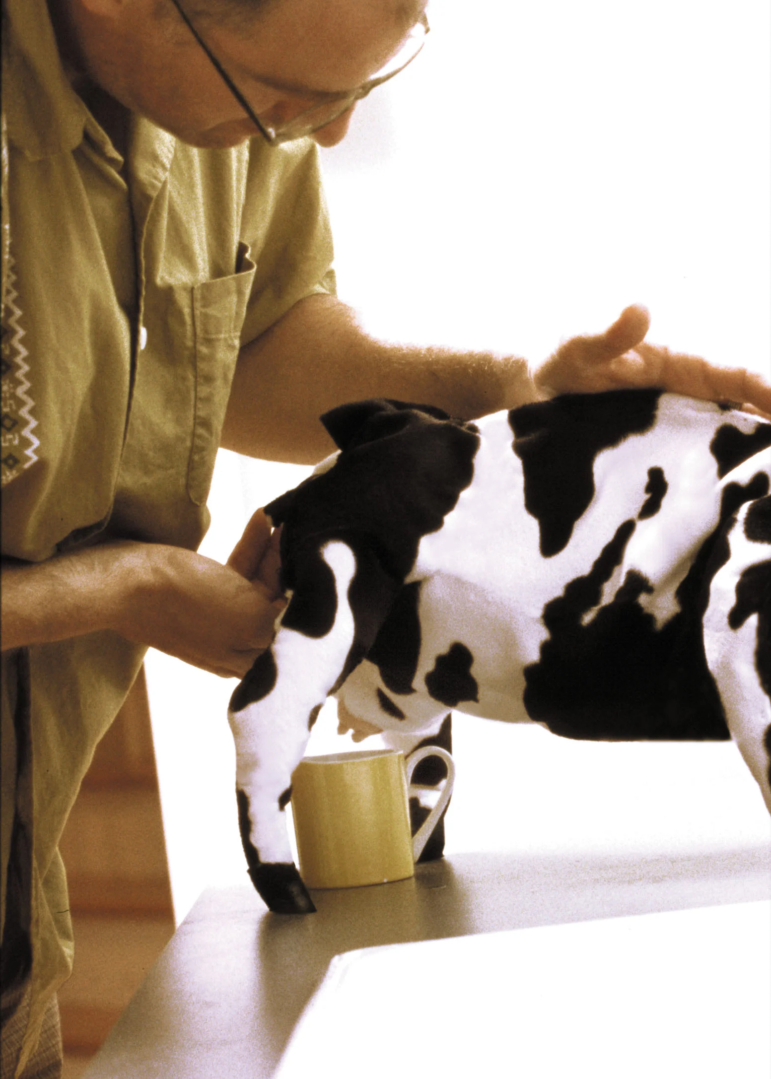 mini-cow.jpg