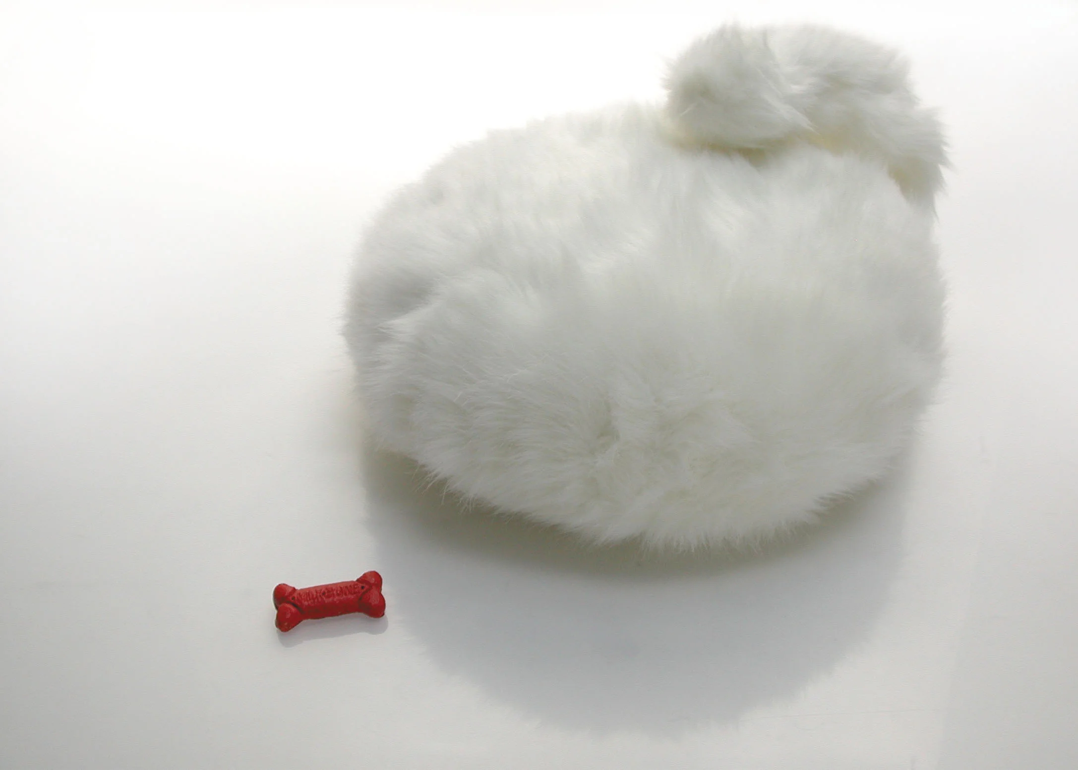 pillow-pet.jpg