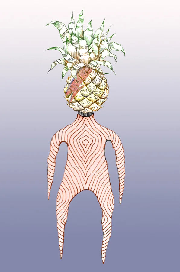 Pineapple Bowie, Carolyn Tripp, 2016