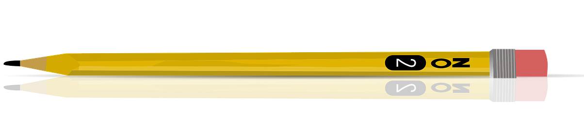 Q & A With Author Katha Pollitt