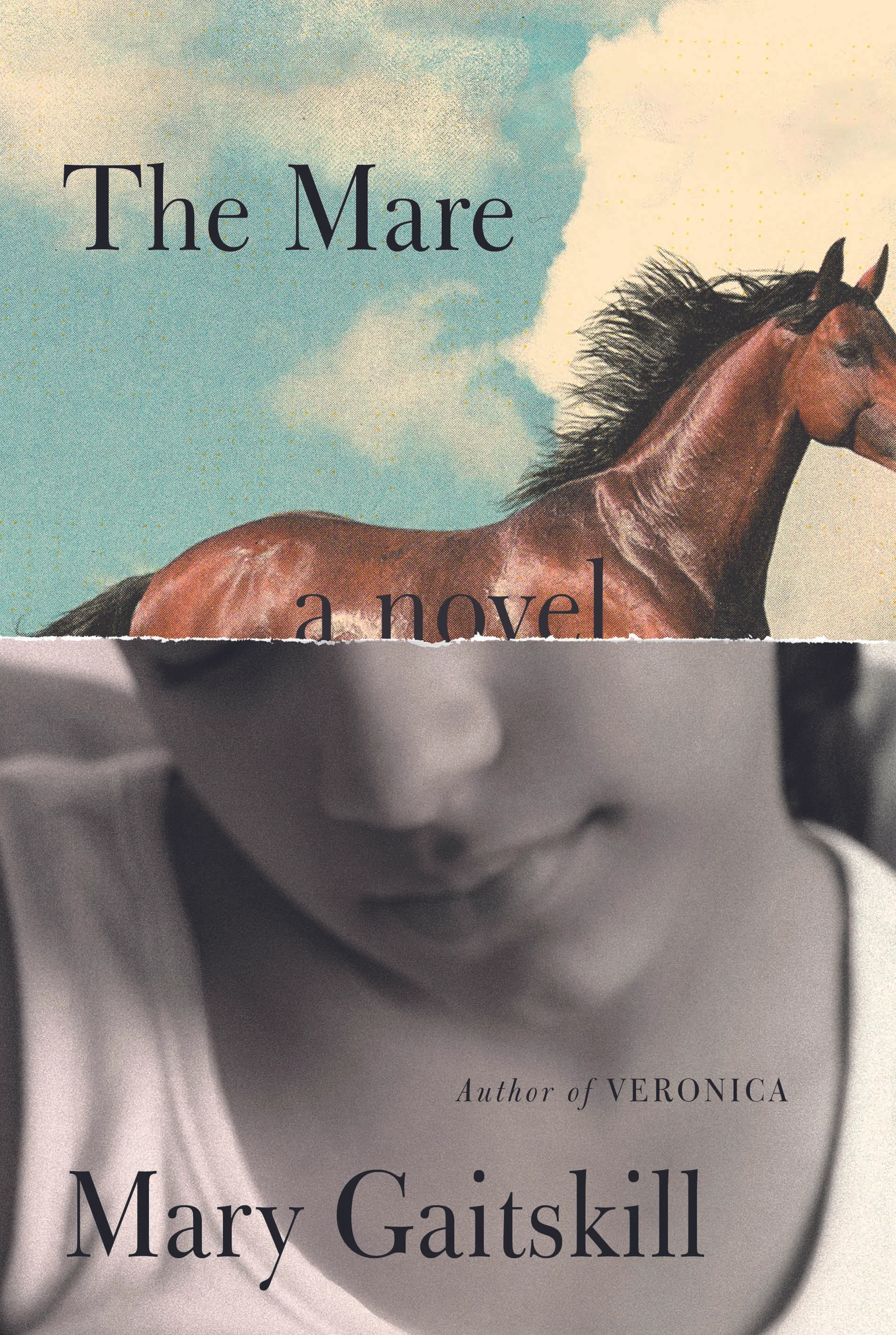 Review: Mary Gaitskill’s Heartwarming Novel of Awkward Racial Tension