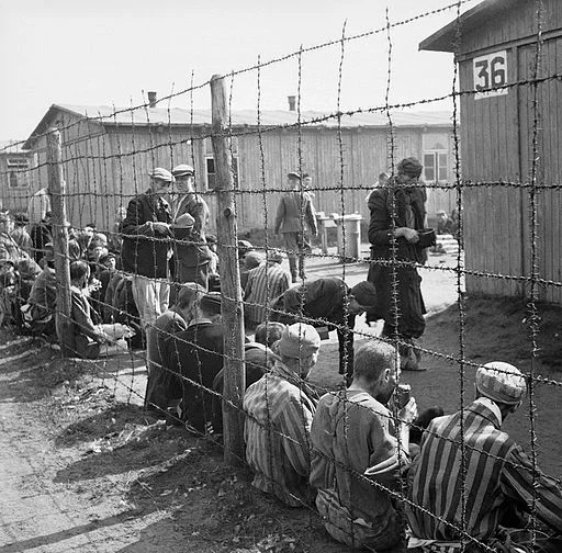 OPINION: The Polish Government's Shameful Attack on a Holocaust Historian