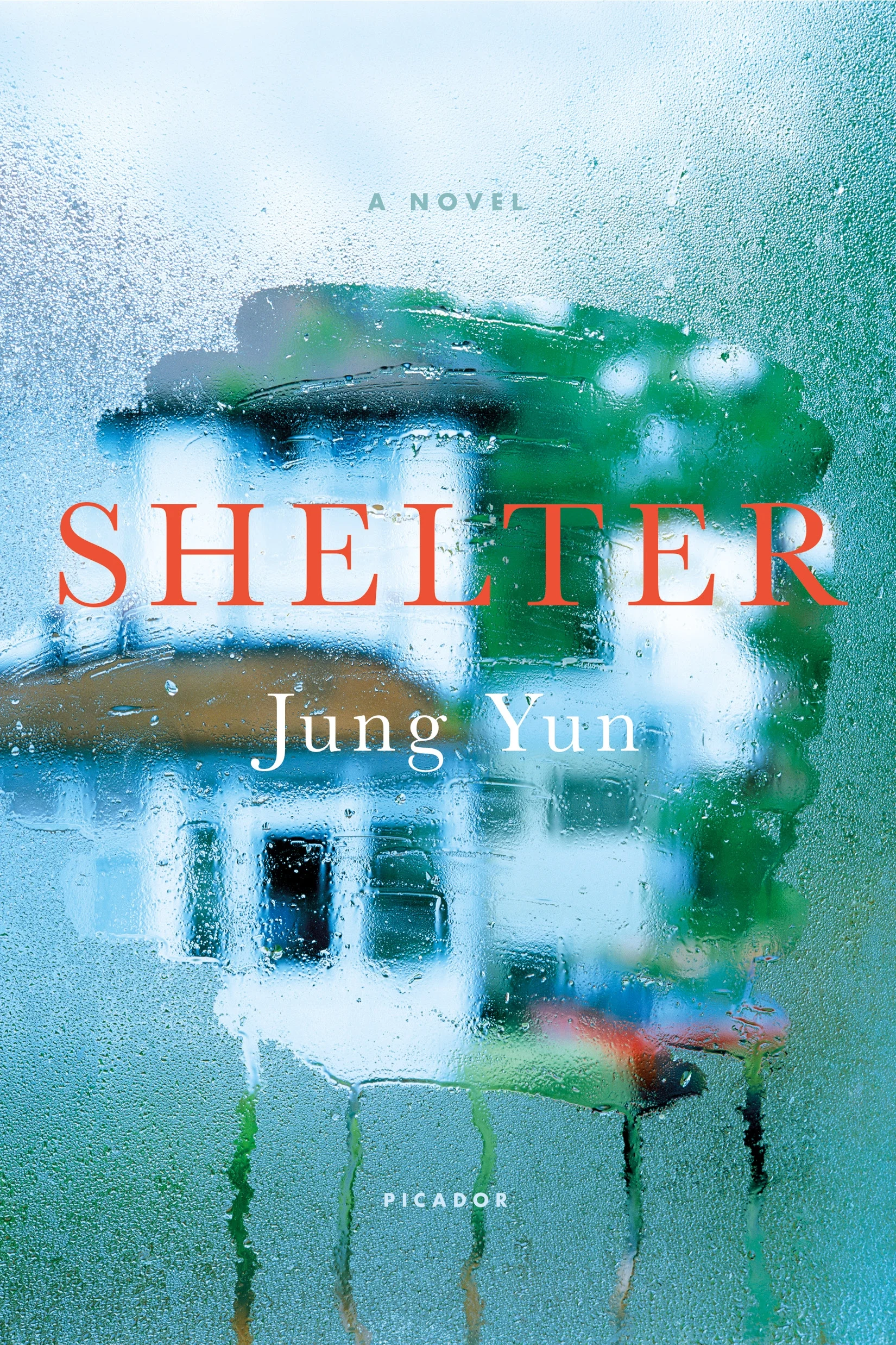 REVIEW: "Shelter" is a Compelling Novel of the Sometimes Chilly Bond Between Child and Parents 