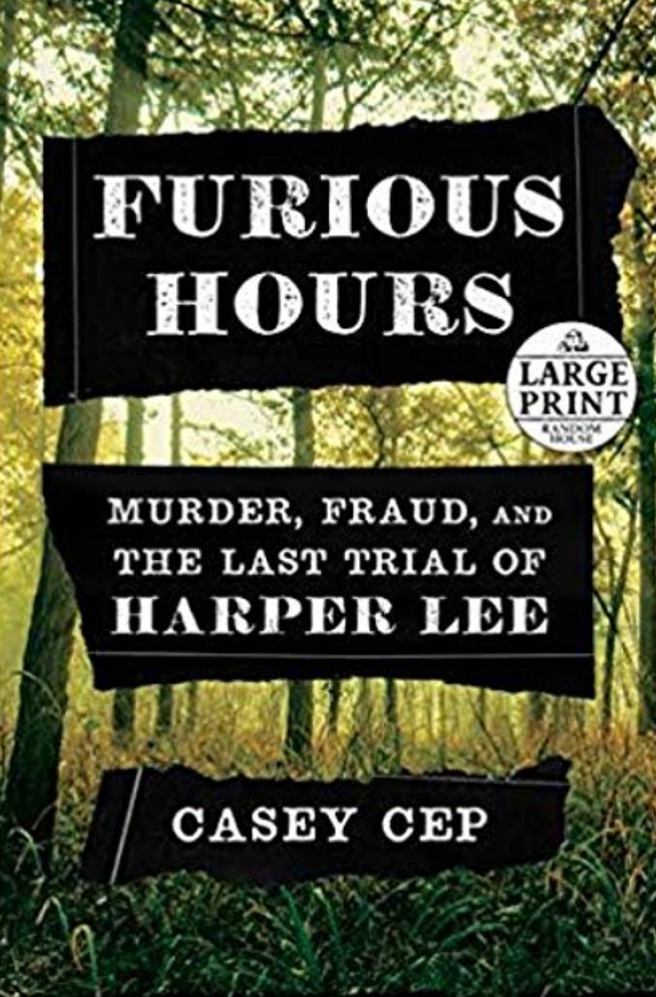 REVIEW: The Book Harper Lee Didn't Write: A Wild Southern Gothic Tale of a Murderous Minister 