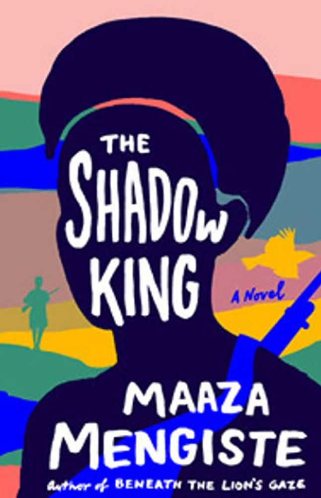 REVIEW: A Beguiling Ethiopian Novel with Women Soldiers at Center Stage