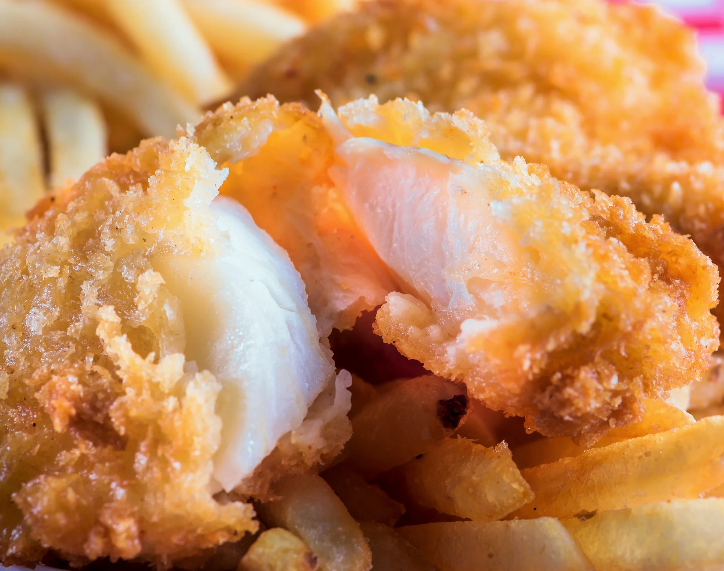 Fish Friday.jpg